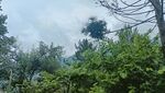 大山 