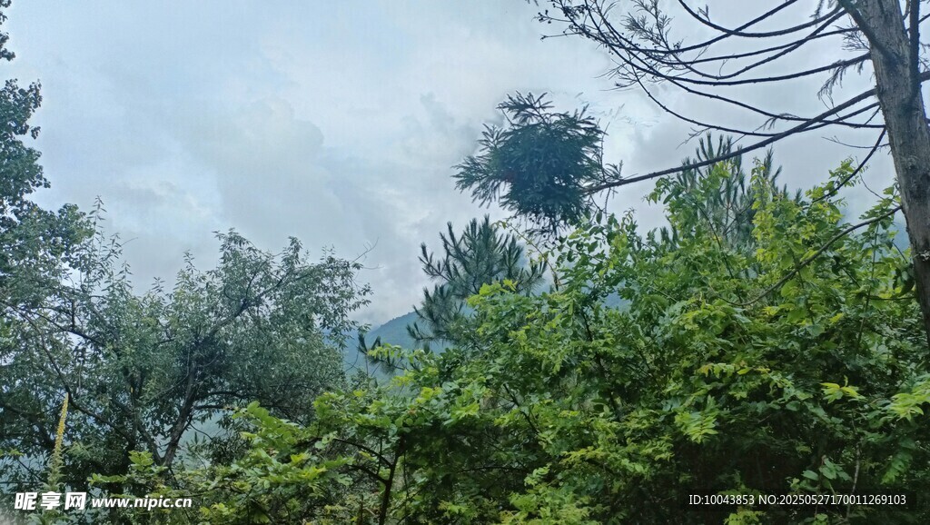 大山 