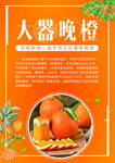 橙子