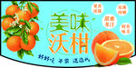 沃柑