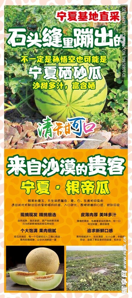 宁夏硒砂瓜