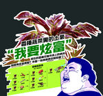 香椿