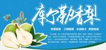 库尔勒香梨