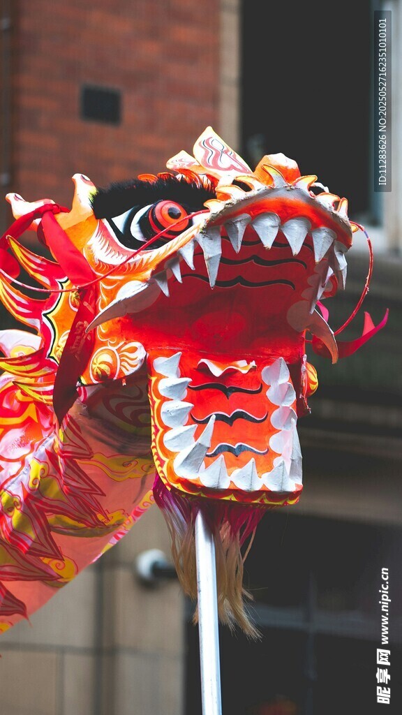 传统舞龙龙头特写