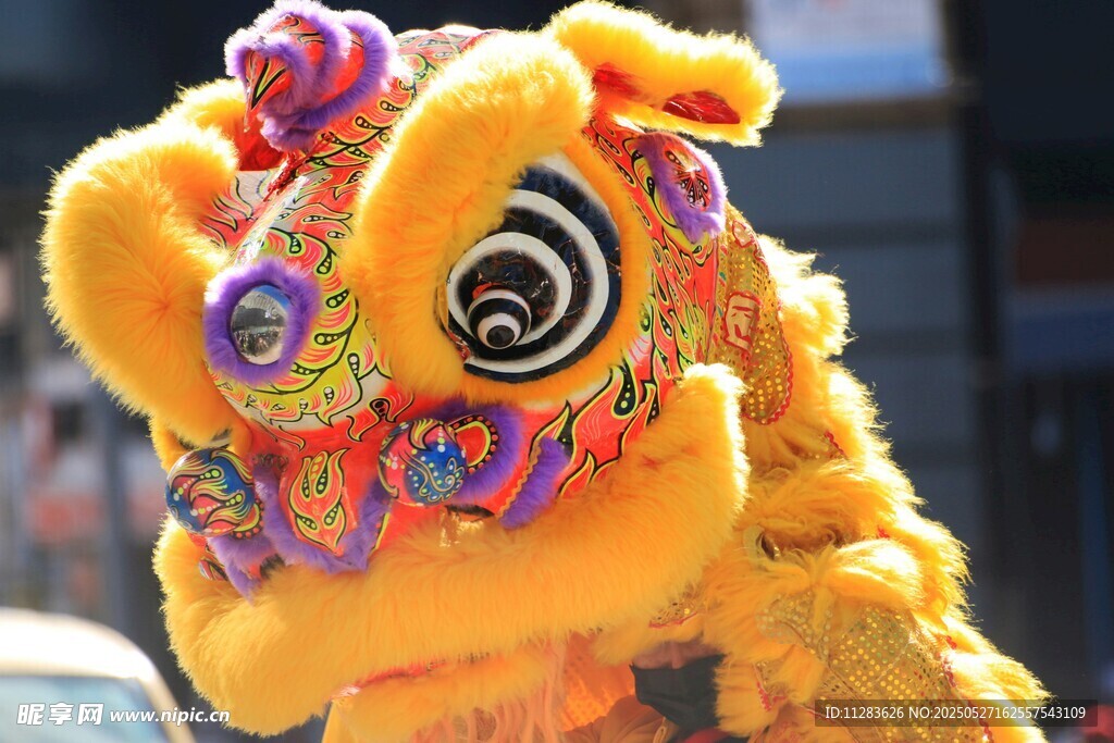 舞狮头特写