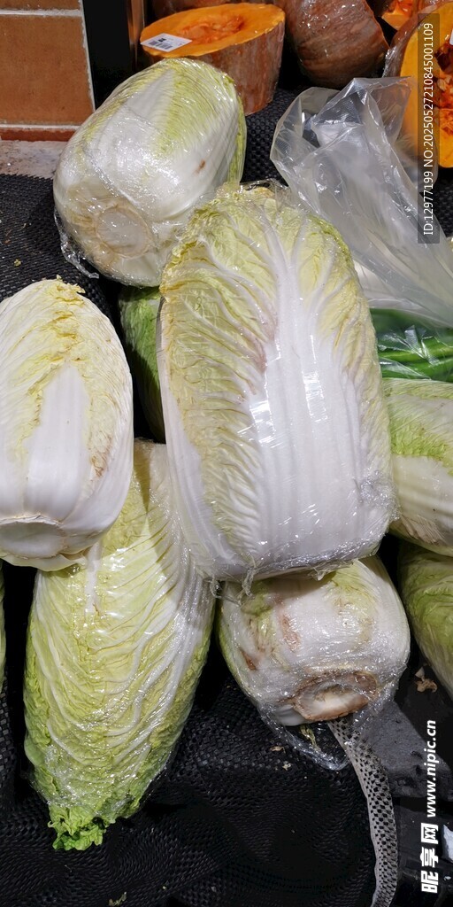 新鲜白菜待售