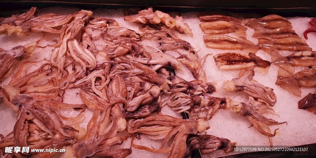 新鲜鱿鱼须食材展示