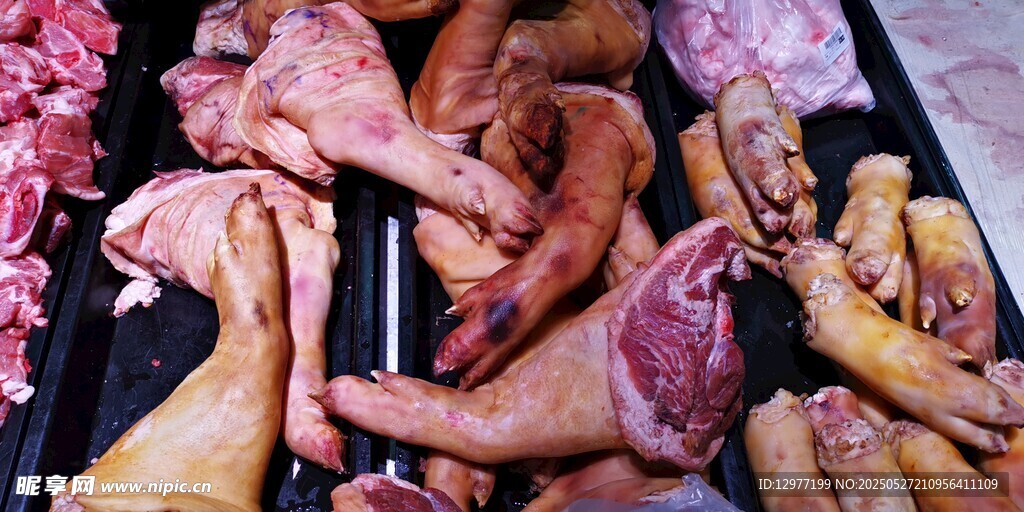 新鲜多样肉类食材展示