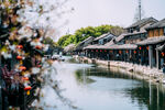 江南水乡美景如画