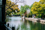河畔春光 静谧水乡景致