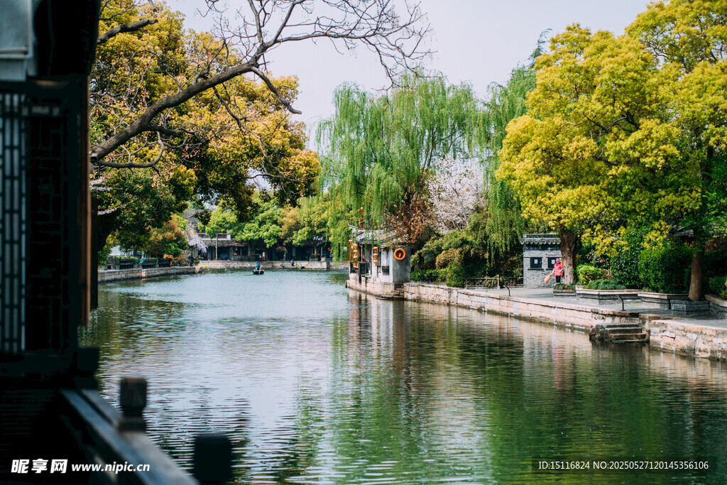 河畔春光 静谧水乡景致