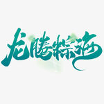 龙腾粽海艺术字设计