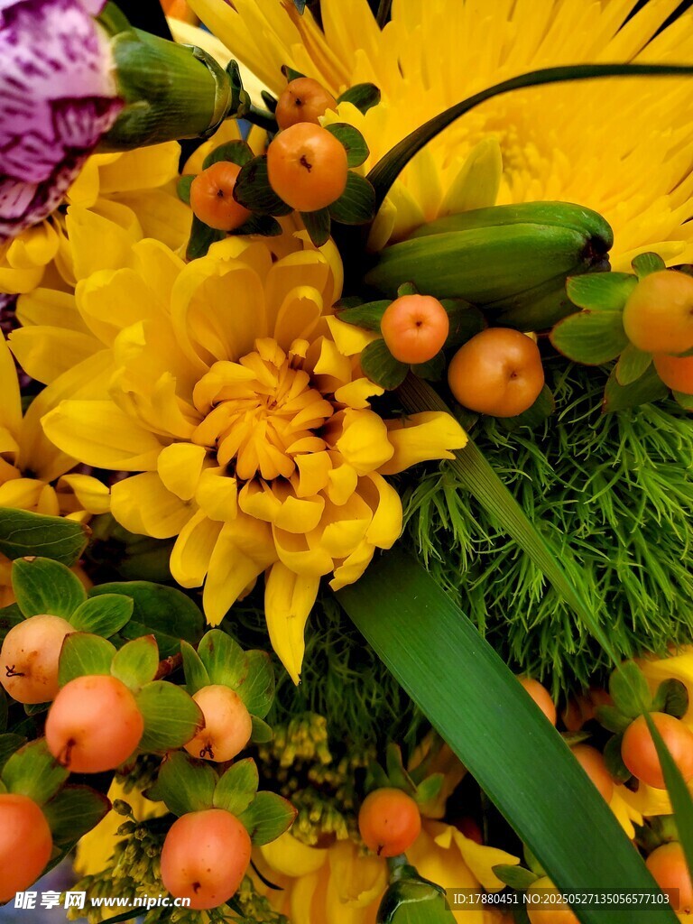 菊花