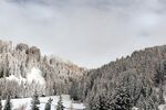 山林