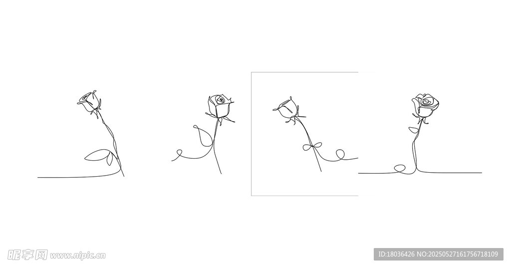 连续线条玫瑰花卉极简主义png