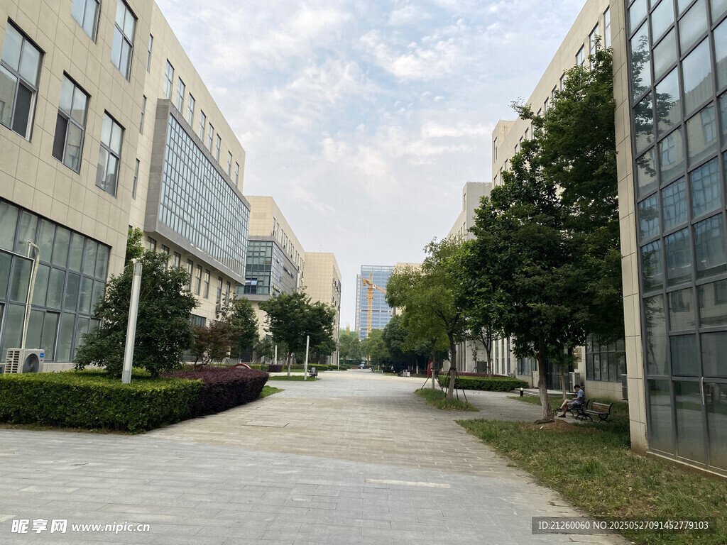 现代园区宽敞林荫步道