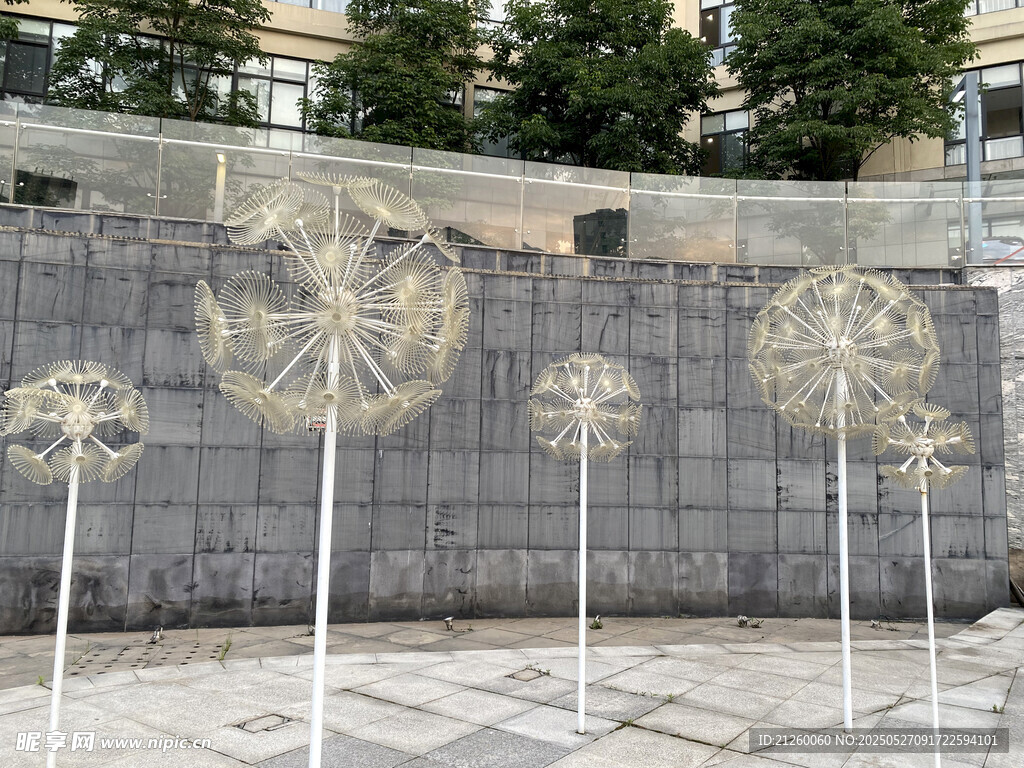蒲公英造型