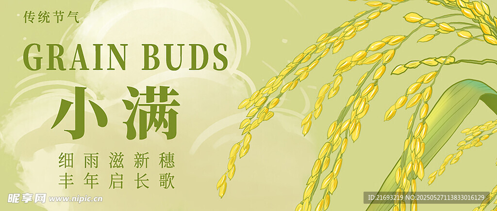 小满节气海报