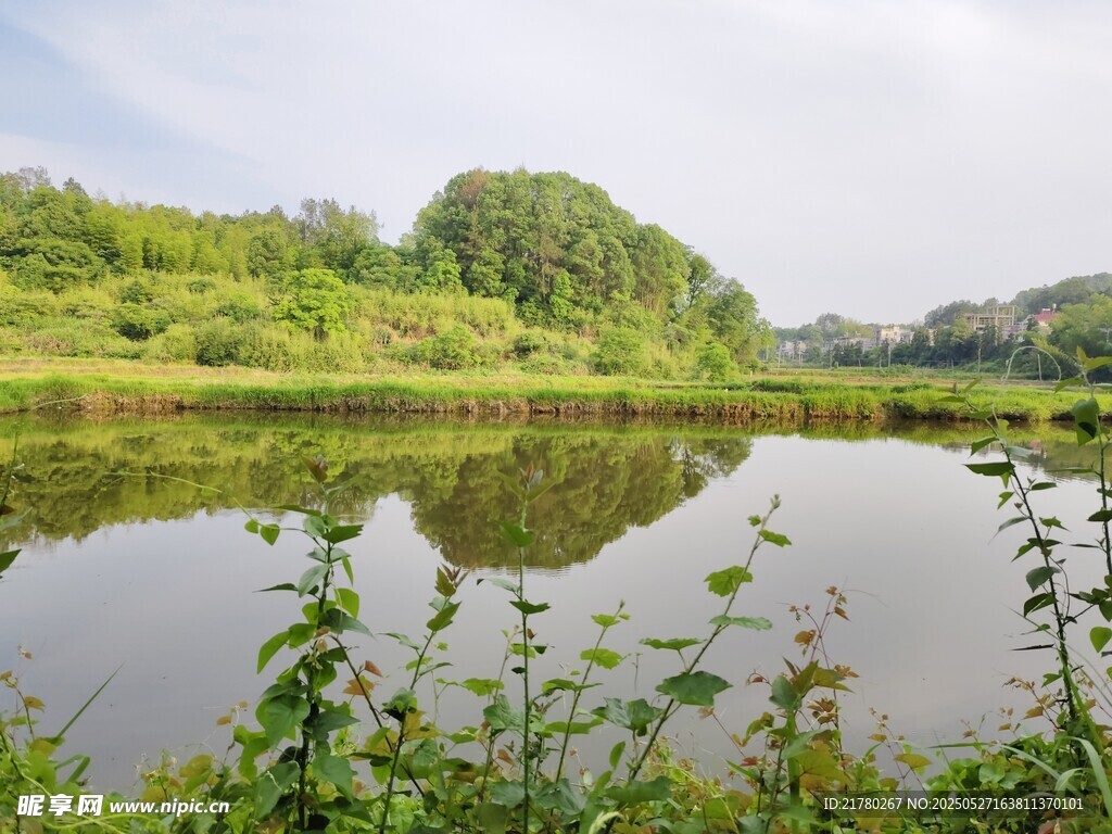宁静湖畔绿植环绕美景
