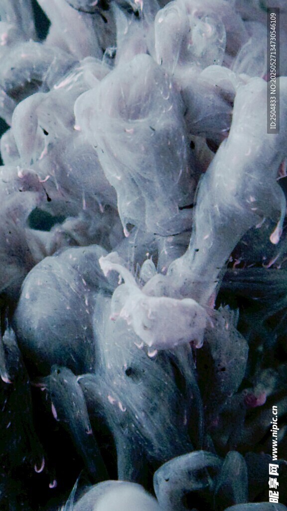 梦幻烟雾纹理画面