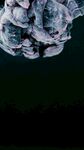 梦幻水母特写