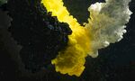 黄白黑三色流体交汇景象