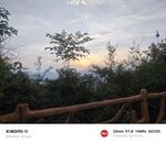黄昏下的木栏与葱郁树木