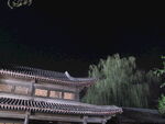 古建夜景 静谧中式风情