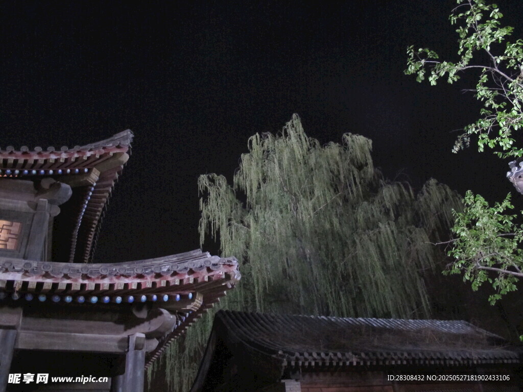 古建夜景旁的葱郁树木