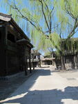 古巷垂柳下的静谧村落