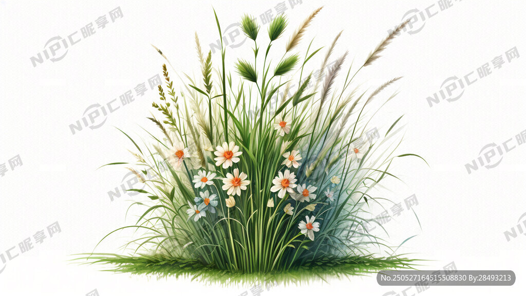 一束草 油画浪漫风格 白色背景