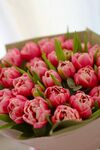 粉色郁金香花束