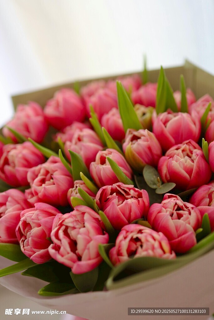 粉色郁金香花束