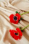 红银莲花置于米色织物上