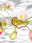 柔美粉色花卉特写