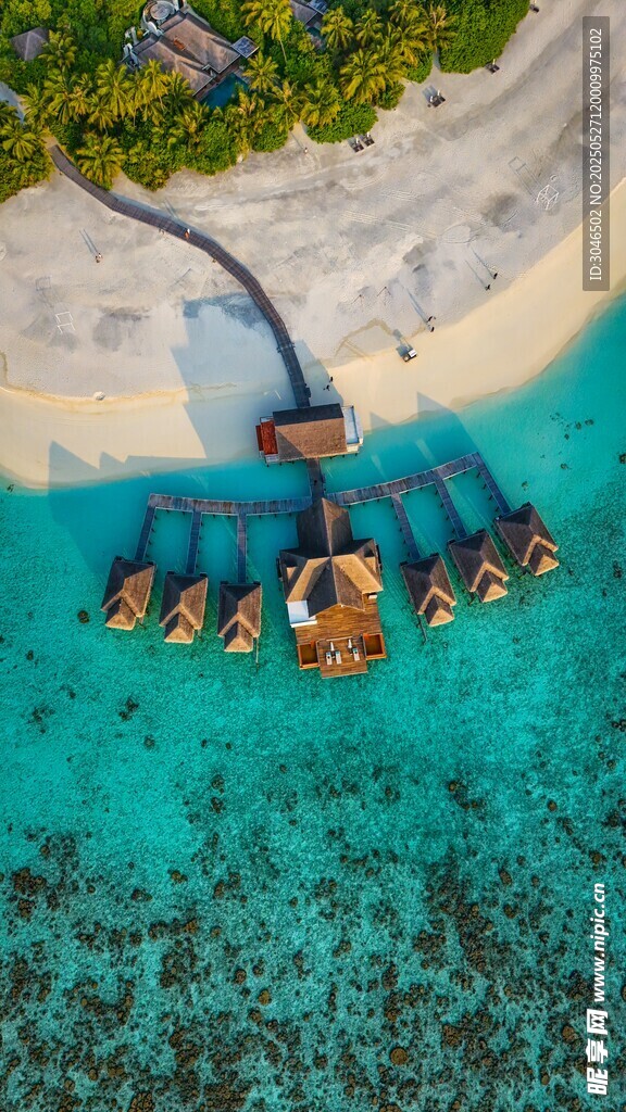 海上多人浮潜欢乐场景