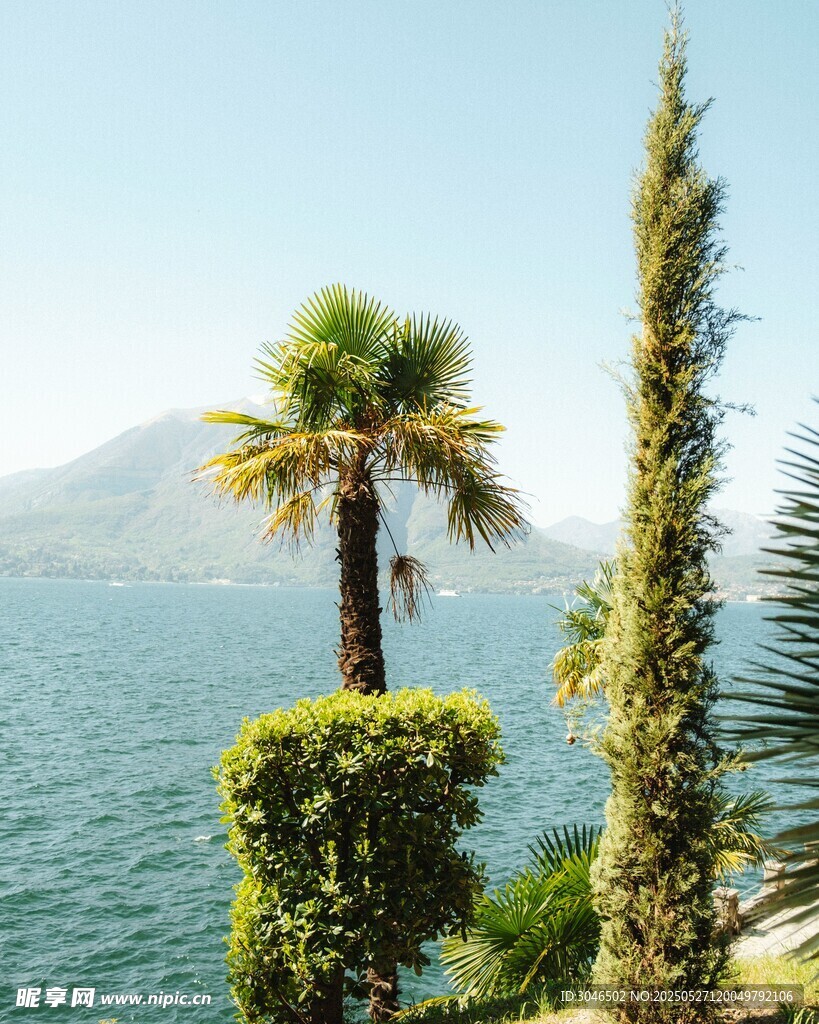 湖畔绿植与远处山峦美景