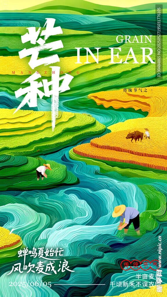 芒种