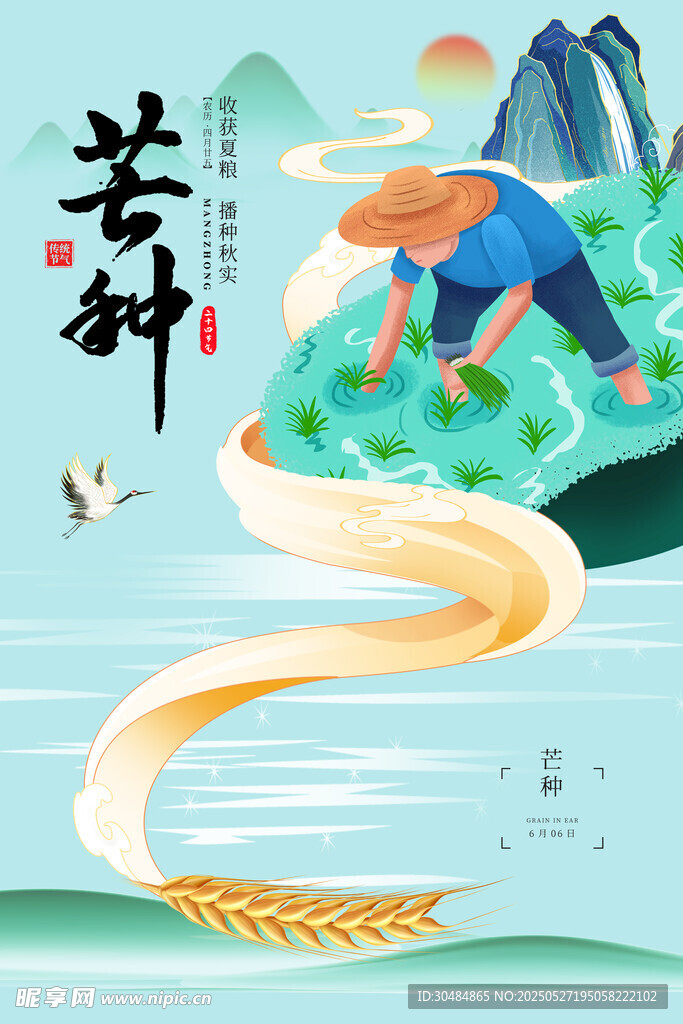 芒种
