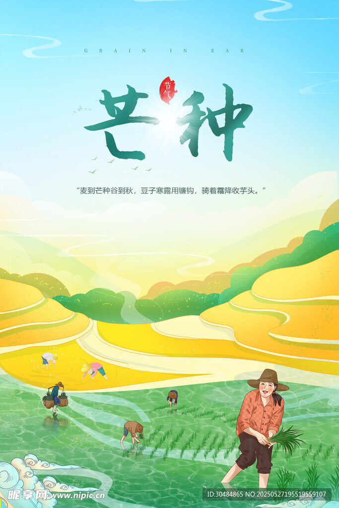 芒种