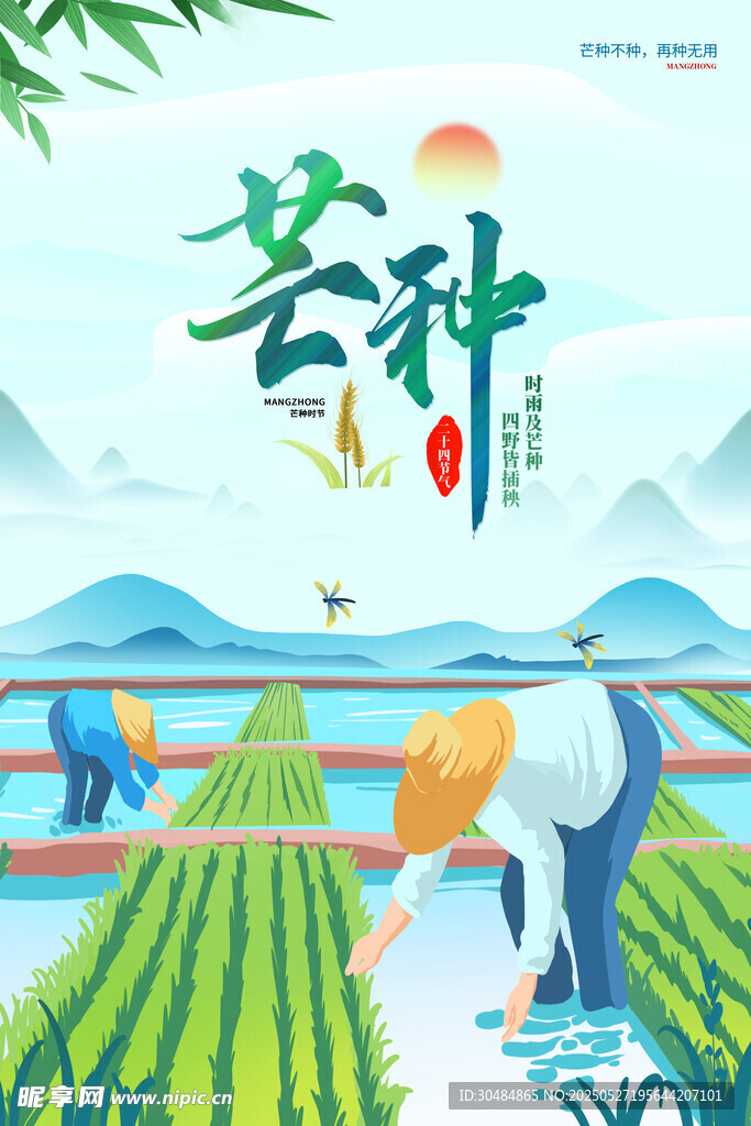 芒种