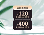 消费券