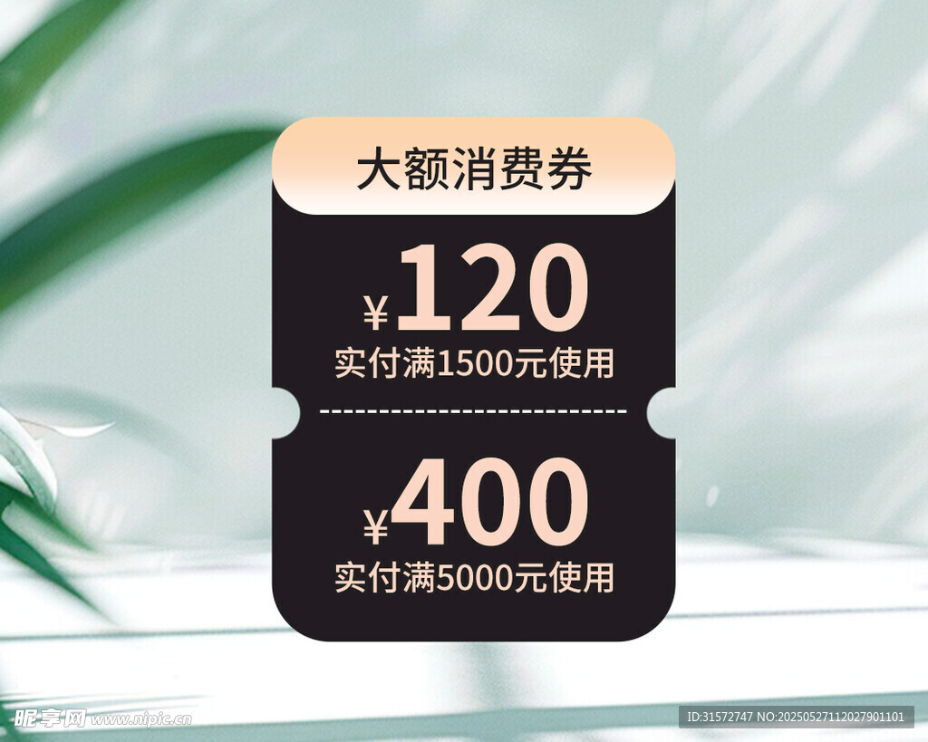 消费券