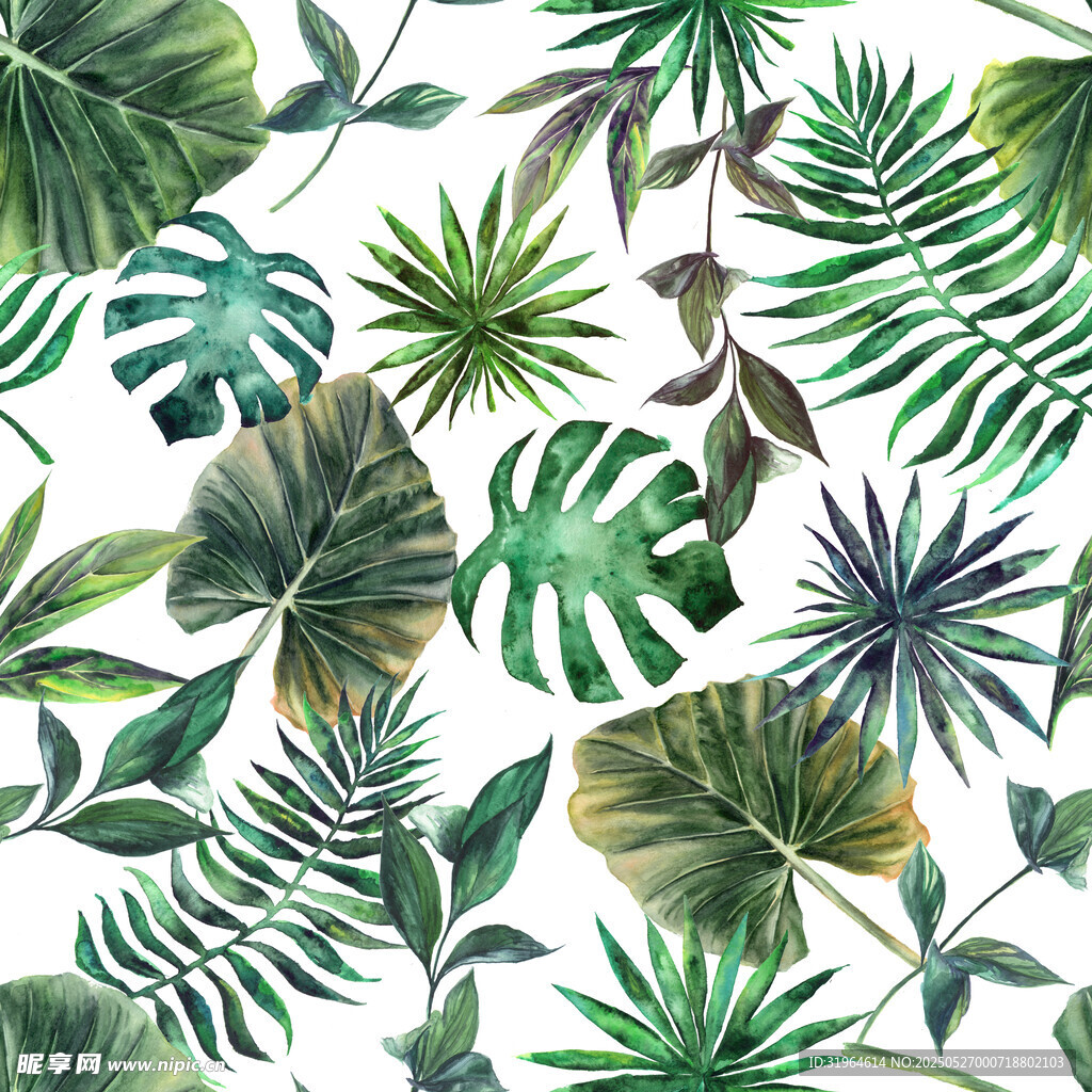热带植物