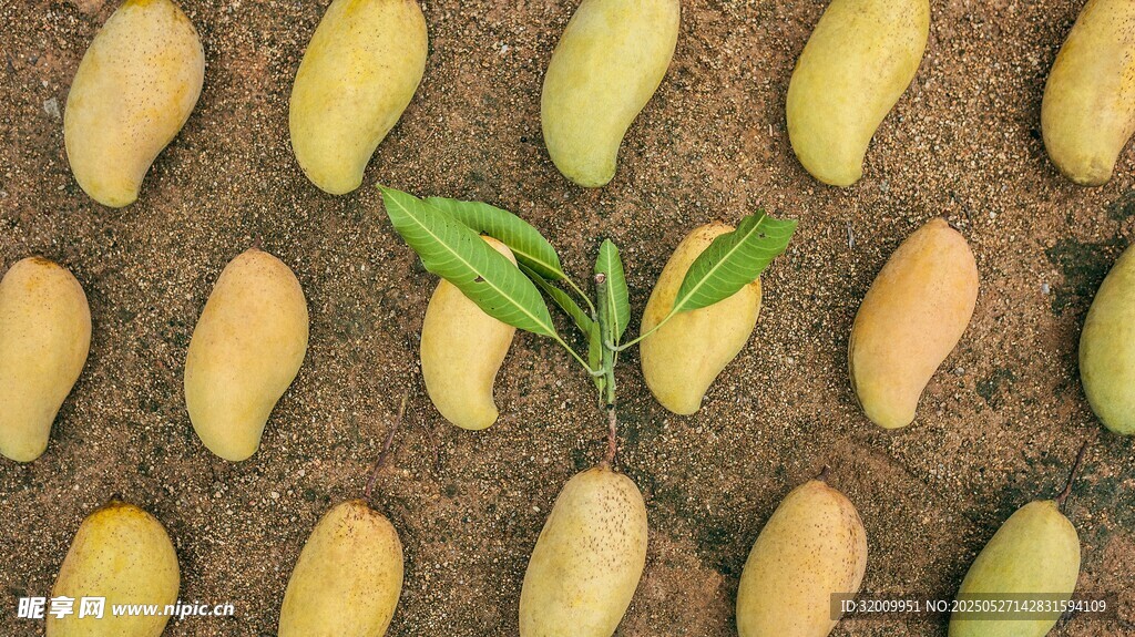 芒果与绿植的清新组合