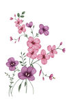 手绘粉色紫色花卉图案