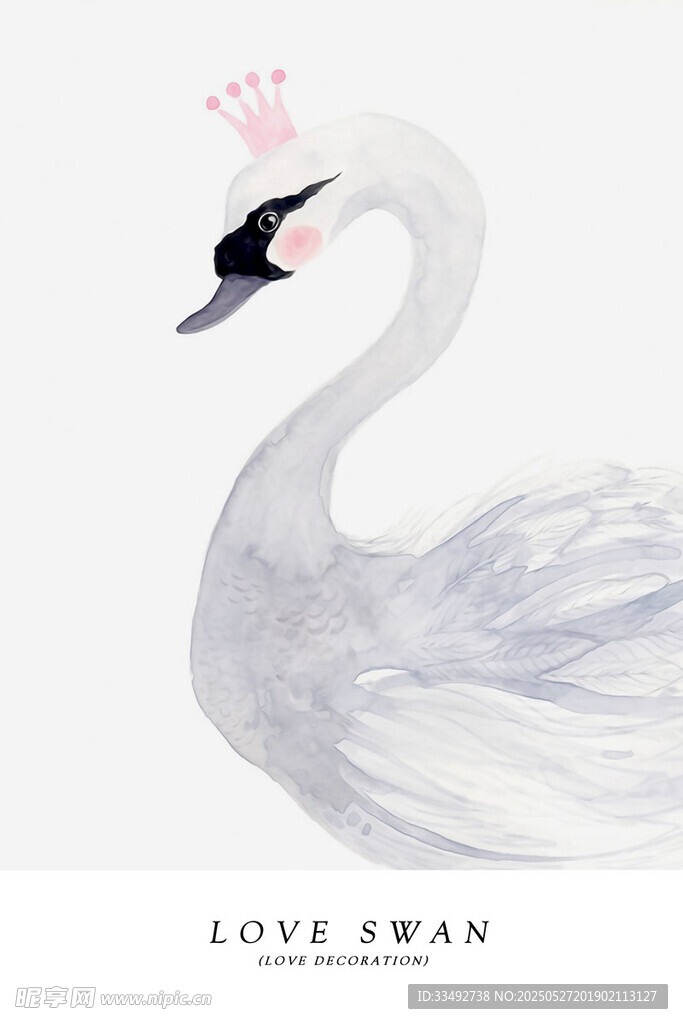 优雅天鹅插画