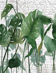 热带绿植背景图