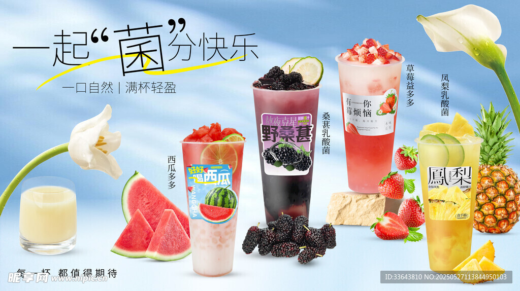 乳酸菌系列