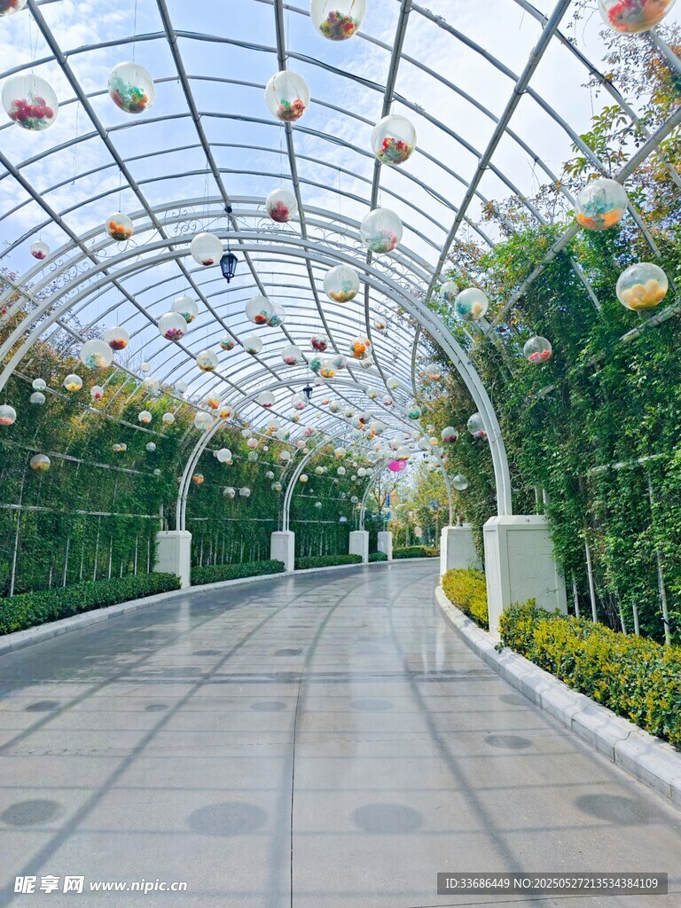 温室长廊绿植景观